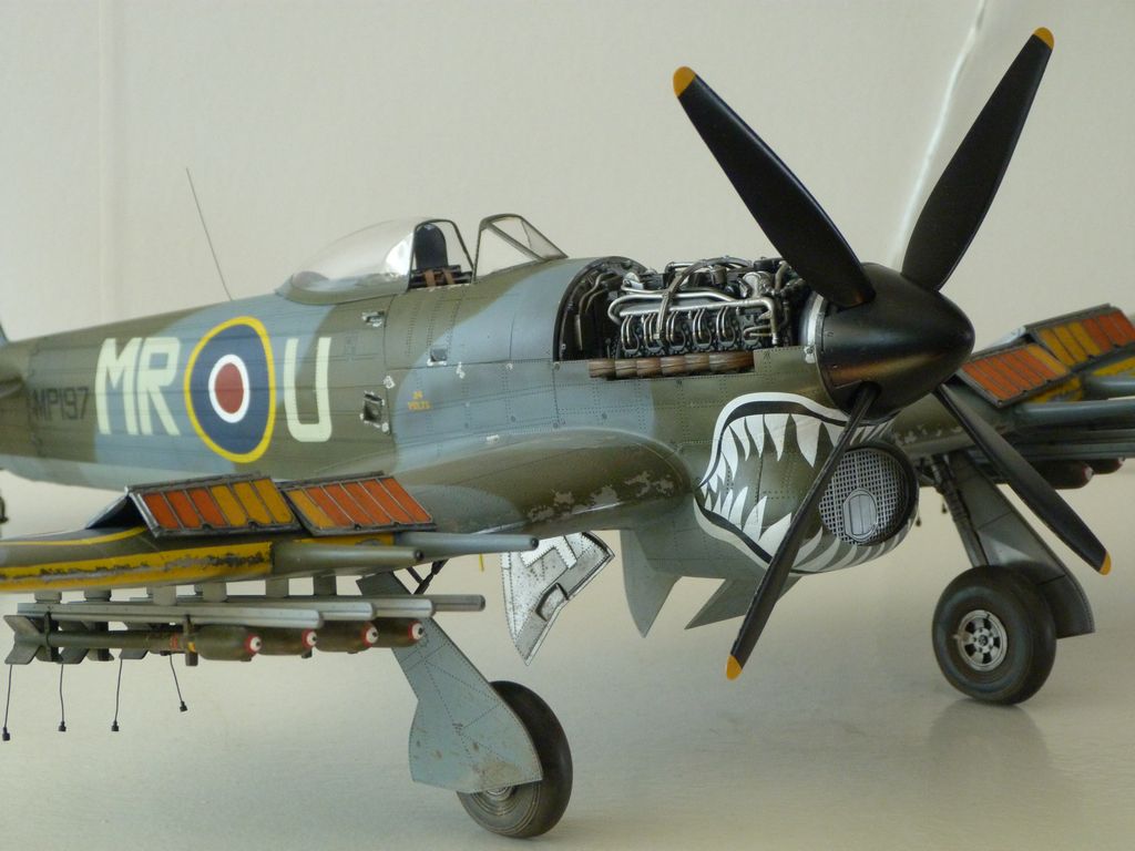 Hawker Typhoon Ib 1/24 P1040608_zps1ff5oy7a