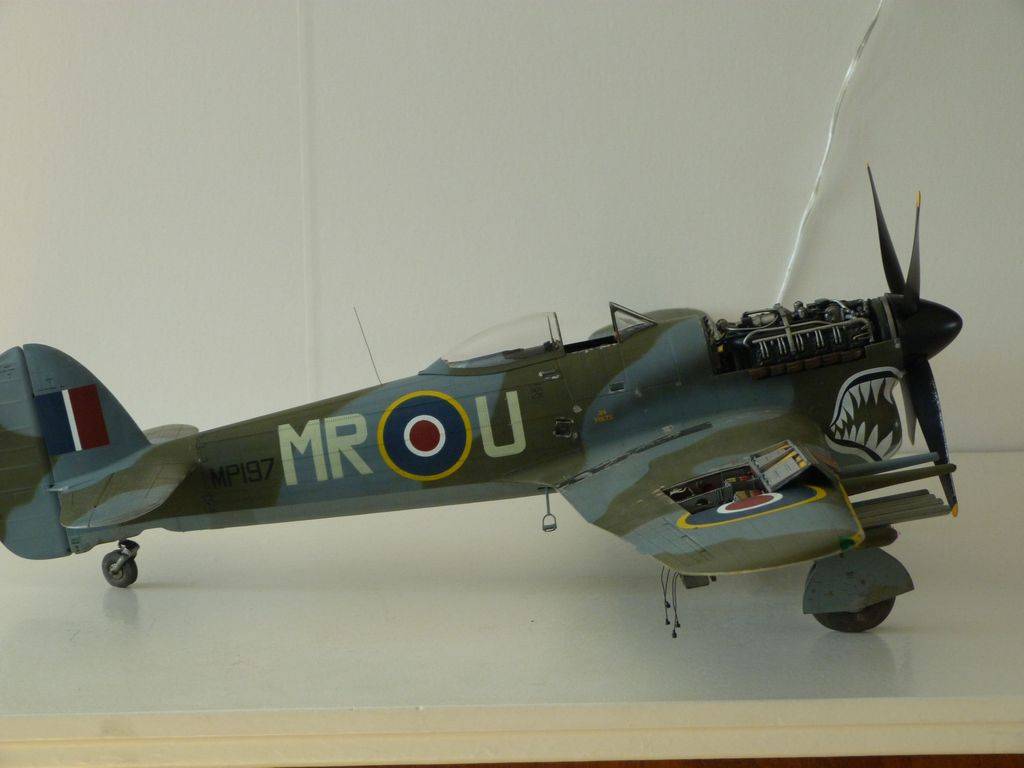 Hawker Typhoon Ib 1/24 P1040610_zpsjybxjnyp