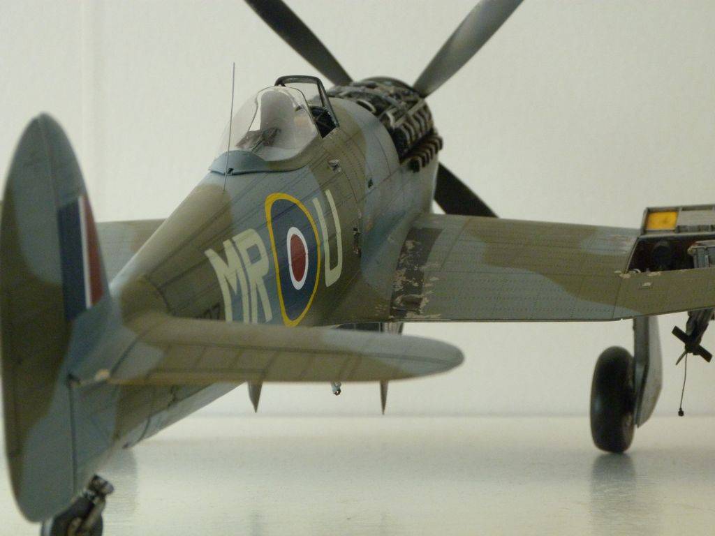 Hawker Typhoon Ib 1/24 P1040613_zpse3dyiamy