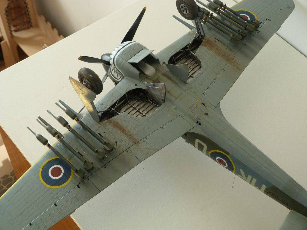 Hawker Typhoon Ib 1/24 P1040627_zpsf9rc15og