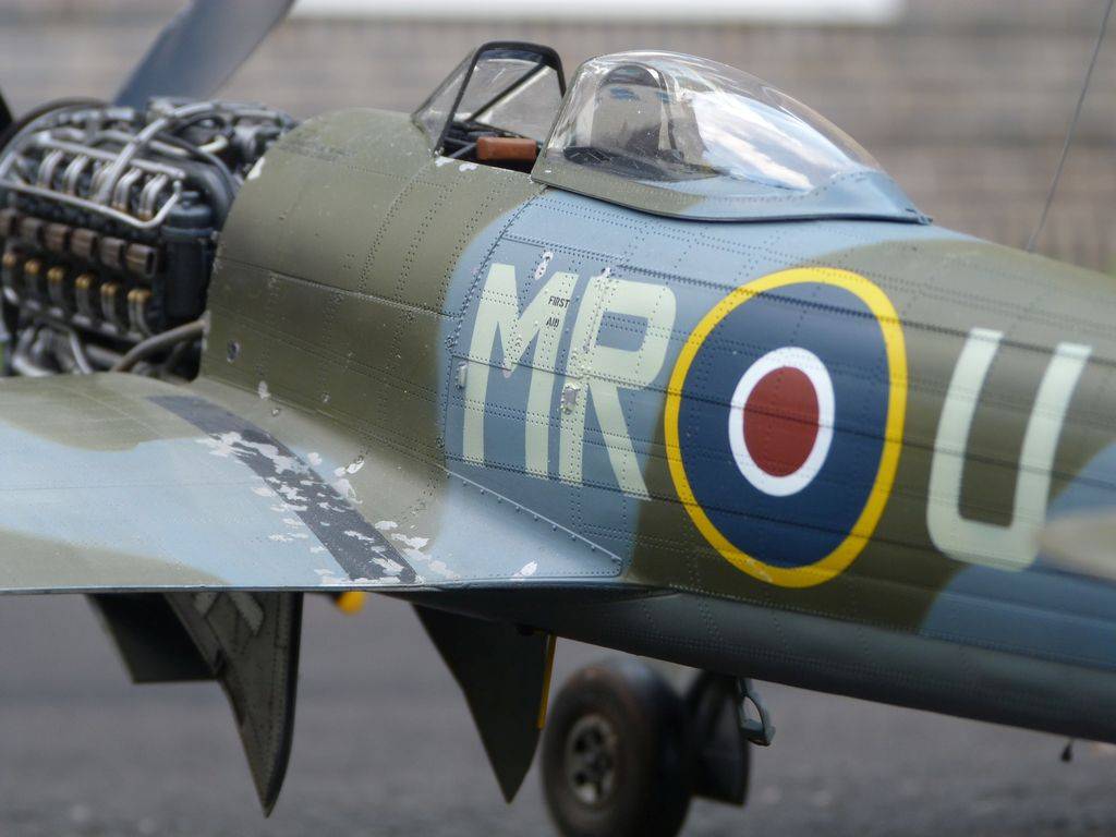 Hawker Typhoon Ib 1/24 P1040634_zpsi62lglts