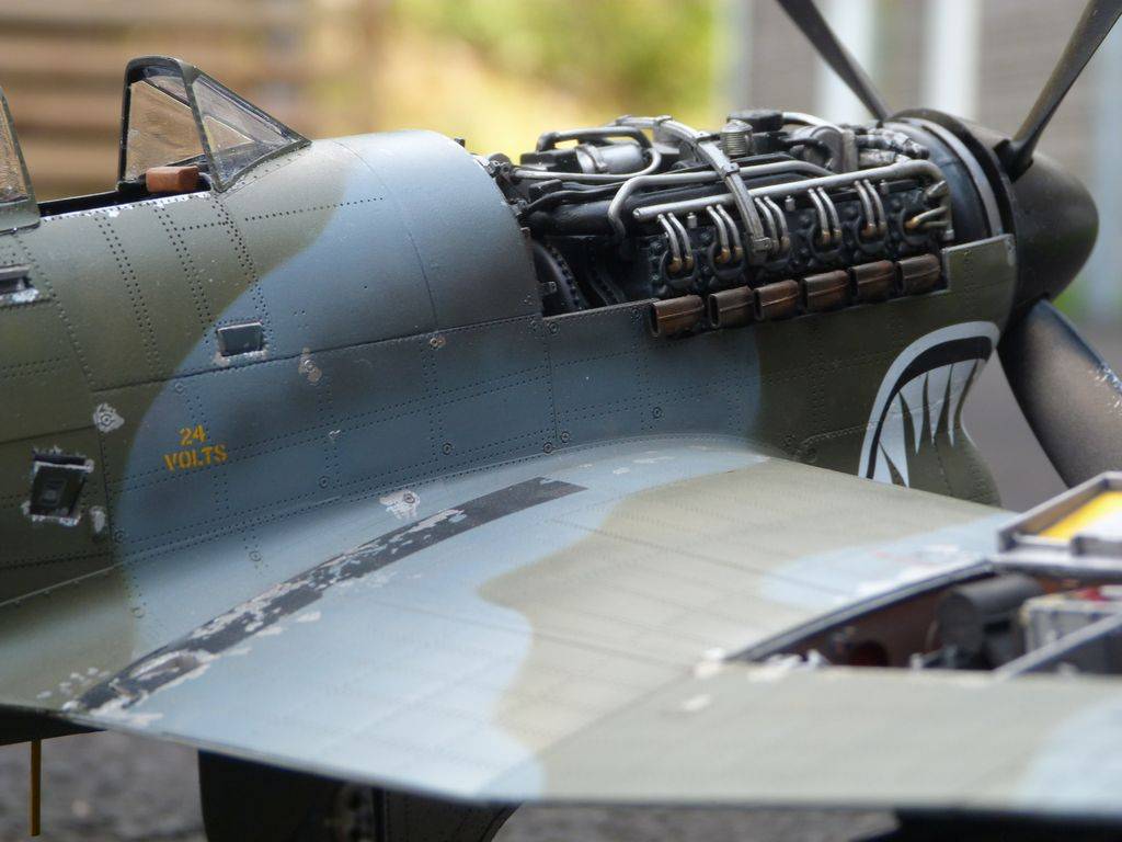 Hawker Typhoon Ib 1/24 P1040635_zpsh4xqvbwg