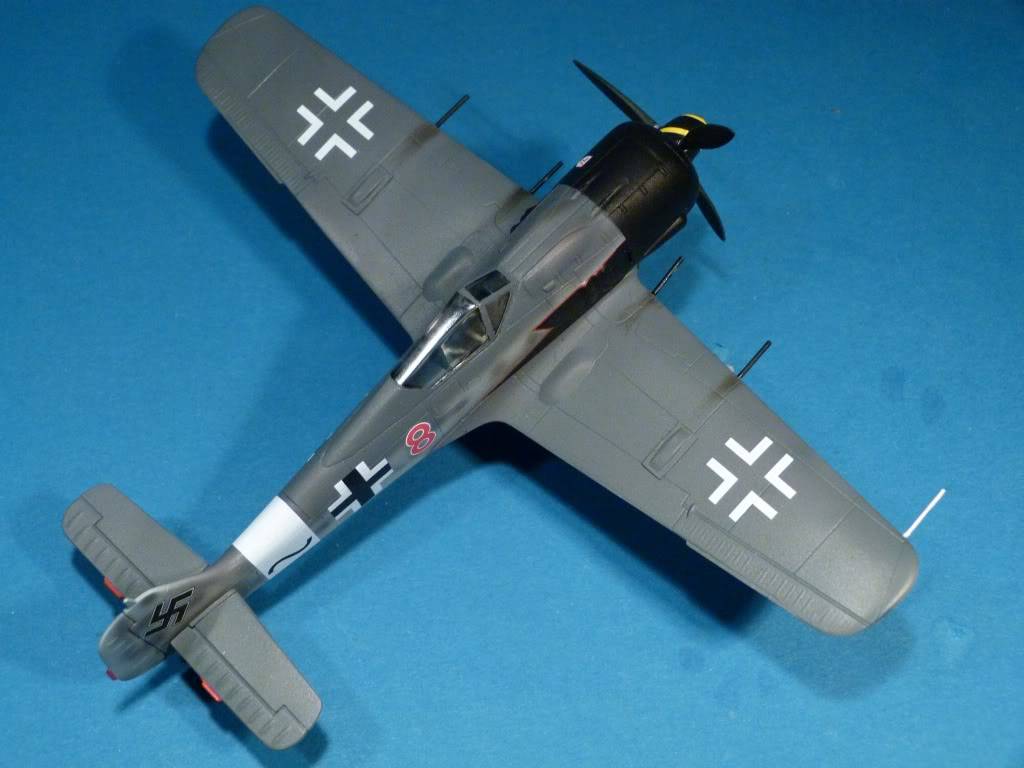 Sturmbock (Hobbyboss FW-190A-8 1/72) P1000866