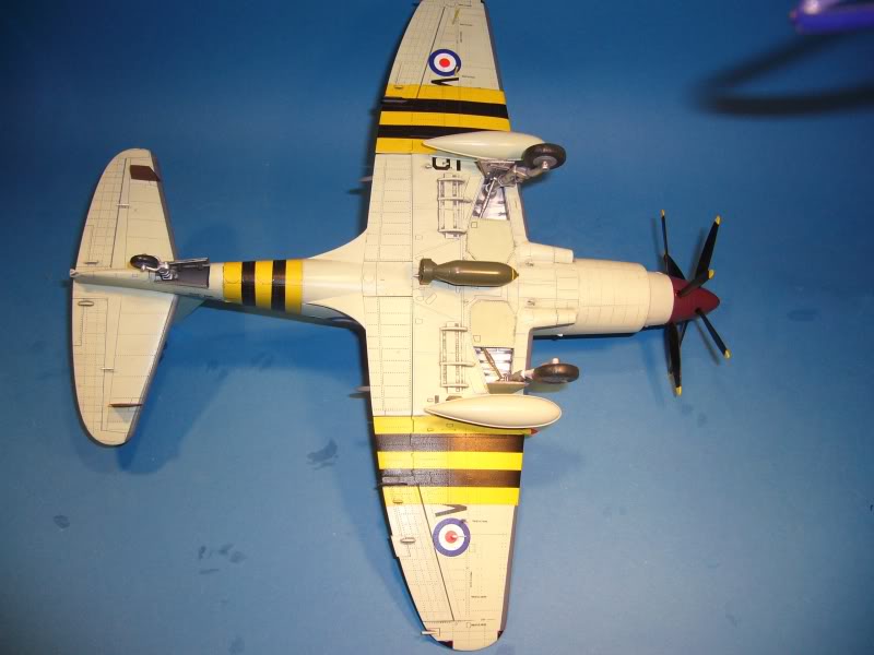 Westland Wyvern S.4, Trumpeter 1/48 P1050610_small