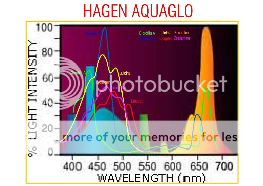 comparatie spectru tuburi osram Hagenaquaglo