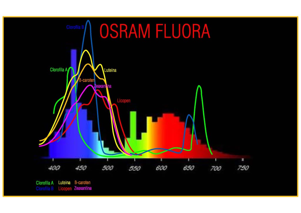 comparatie spectru tuburi osram Osramfluora