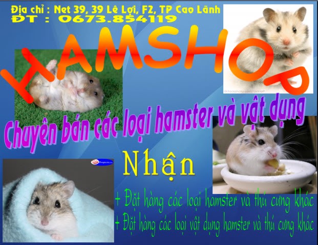 Cao Lãnh Đồng Tháp - Khai Trương Petshop "Hamshop" Sign