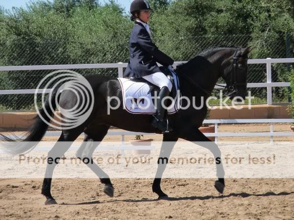 Fotos de Nuestros Caballos v. XXII - Página 15 63378_1618331736101_1170621709_1781986_3145014_n1