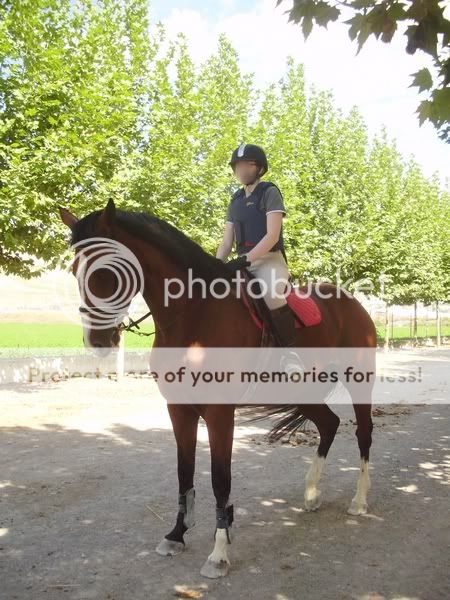 Fotos de Nuestros Caballos v. XXII - Página 14 P9250126