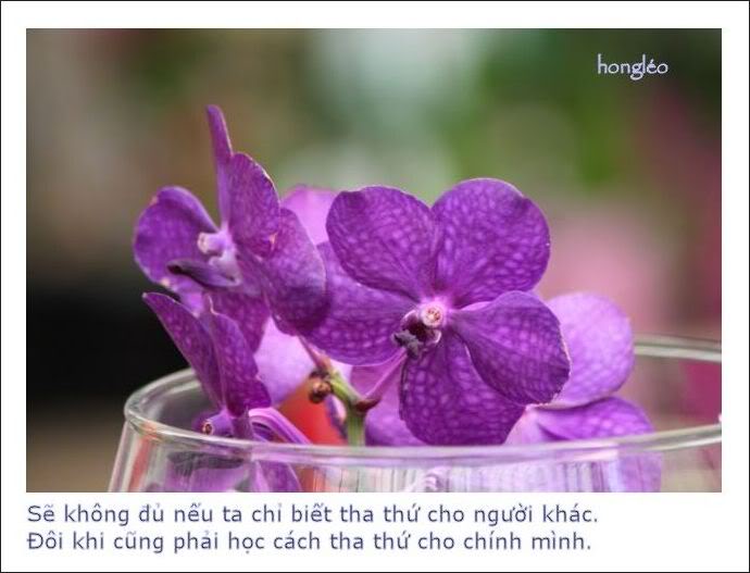 Hương Sắc Cuộc Đời - Page 9 10