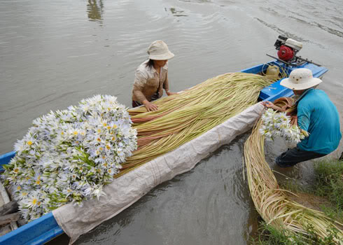 Quê Hương: Đẹp ngỡ ngàng! BS2