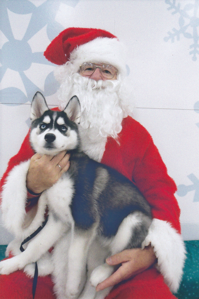 Petsmart Santa Photos - Page 2 IMG