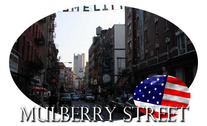 Mullberry Street Mulberry