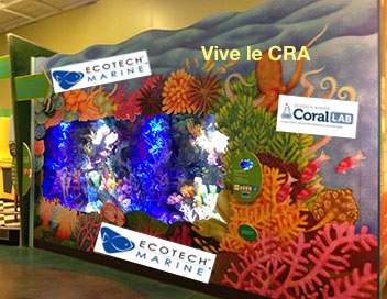 Session collage de coraux - Page 2 CRA_zpscdneqkyo
