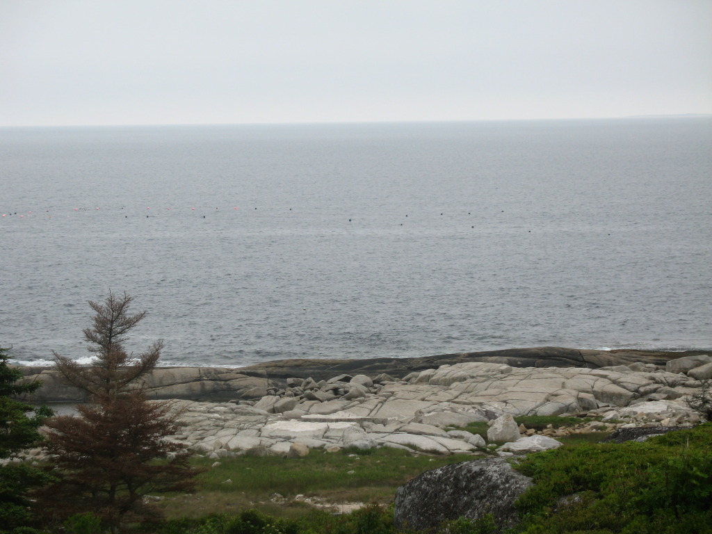 Mon petit voyage dans les Maritimes... 028-3