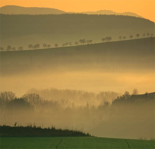 Vjeshta me bukuri tjera! Morning-2