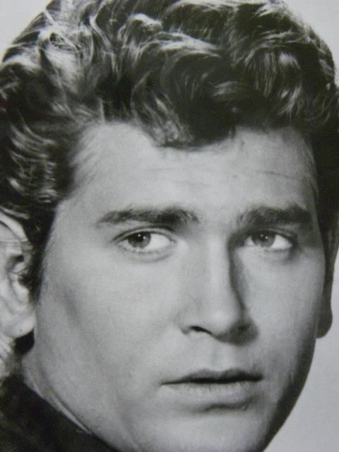 Homenagens a Michael Landon pelo 21° aniversário de seu falecimento 540655_308683509212155_1659244040_n