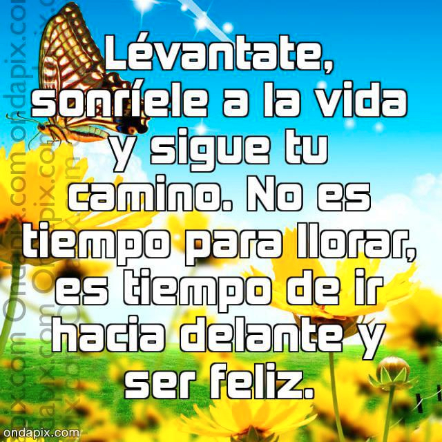 LUNES 13 DE MAYO DE 2013. POR FAVOR DEJEN SUS SALUDOS  Y DEMÁS COMENTARIOS AQUÍ. GRACIAS. ♥ 941096_499531130095516_684265935_n_zps51232e32