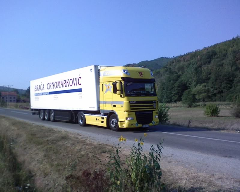 Photo of DAF DSC00437-1