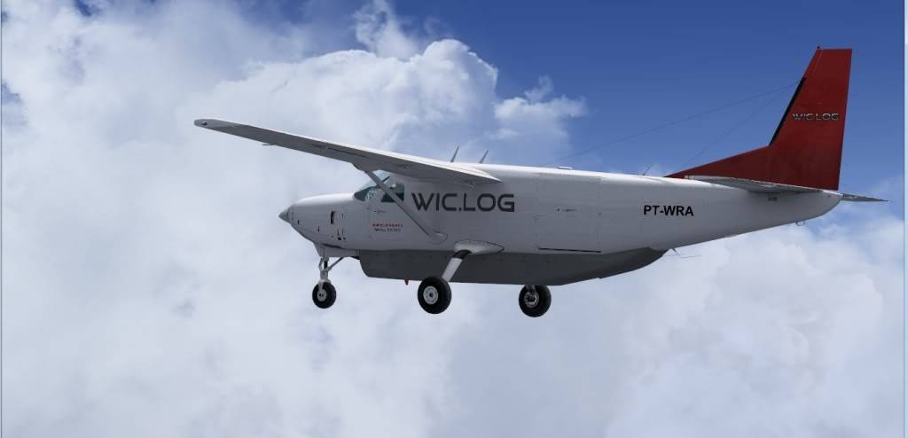 [FSX] Aos poucos vou indo. Wings21-1