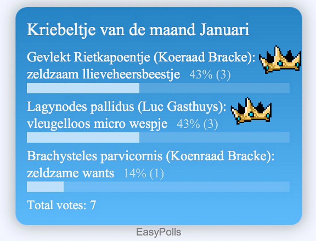 Insectenwerkgroep (IWG) Scheldeland - Pagina 3 1ca4794441ff5184aacef01f801754dd