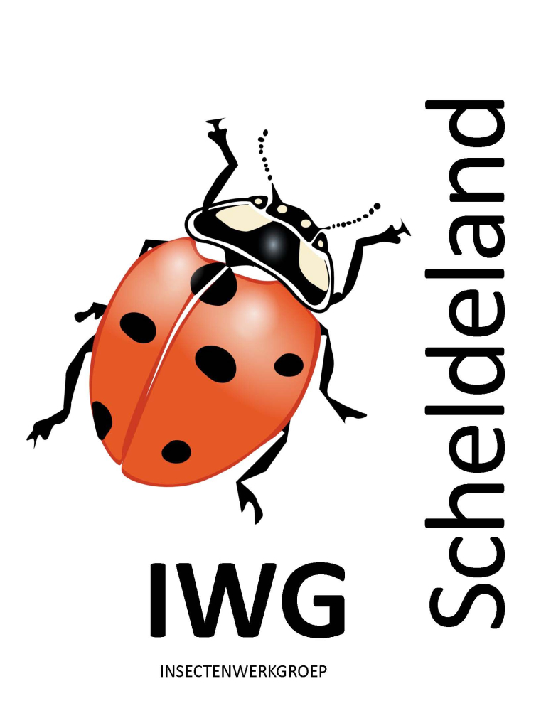 Insectenwerkgroep (IWG) Scheldeland - Pagina 2 693bceb91f7cc600cc7fe70a1477f605