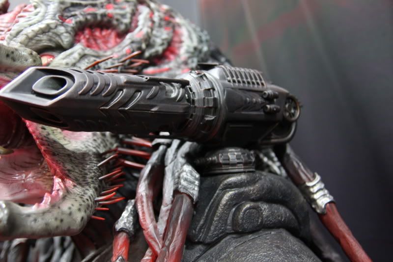 [SDCC 2011] Sideshow - Aliens and Predators Berserker4