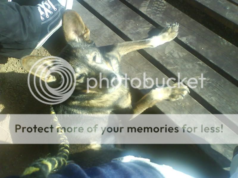 Photobucket