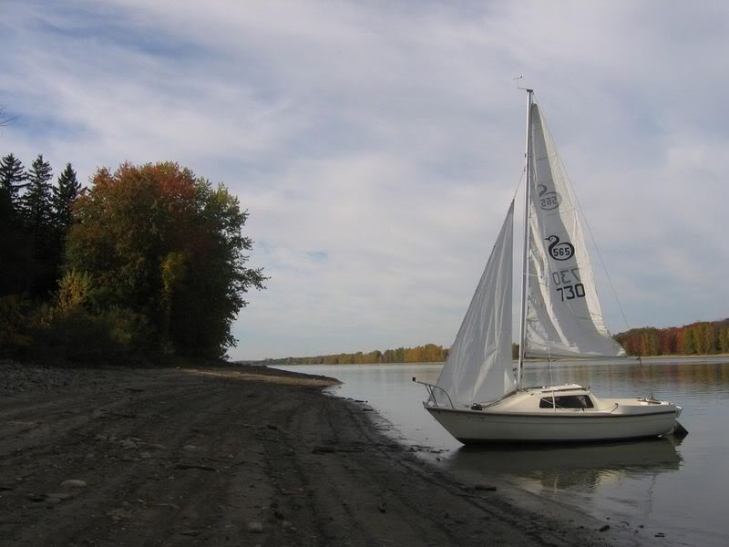 Je vous présente Bécasseau, mon Sandpiper 565 Piper730