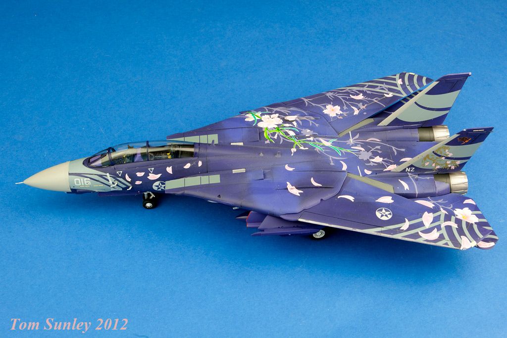 Hasegawa F-14A "Cherry Blossom" 1/72 IMG_2229