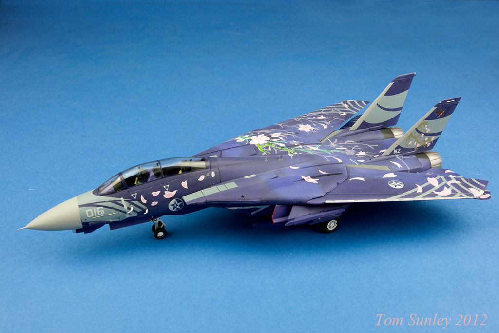 Hasegawa F-14A "Cherry Blossom" 1/72 IMG_2234