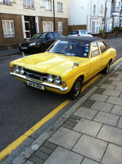 Yellow Cortina IMG_1362