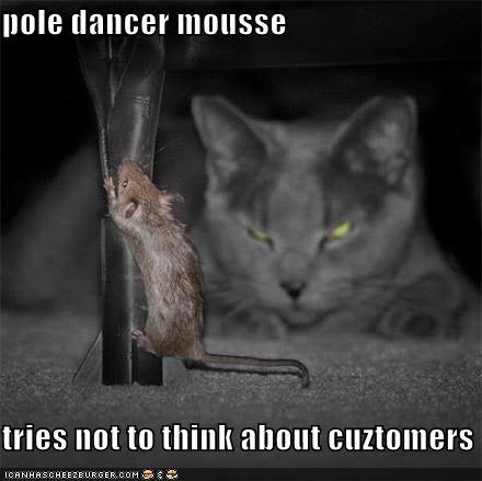 Picz from da internetz! PoleDancingMouse