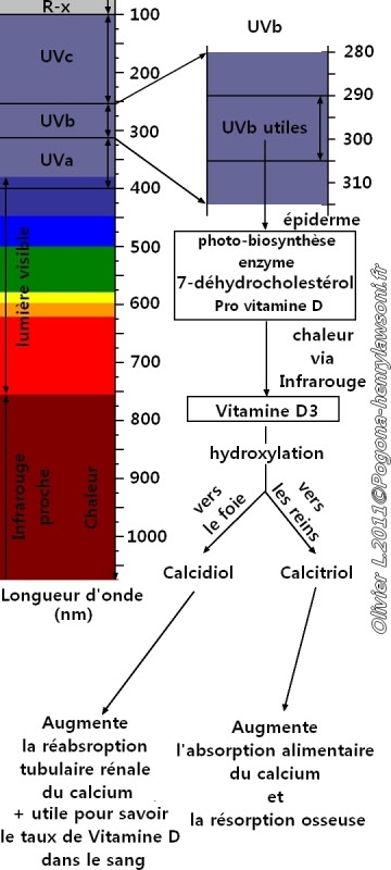 topo - TOPO UV - Page 2 SpectreP-h3