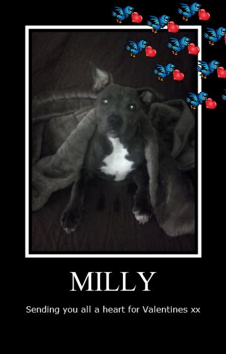 Milly sends her love for Valentines 168091_10150110694548188_519103187_6196646_7574913_n-1