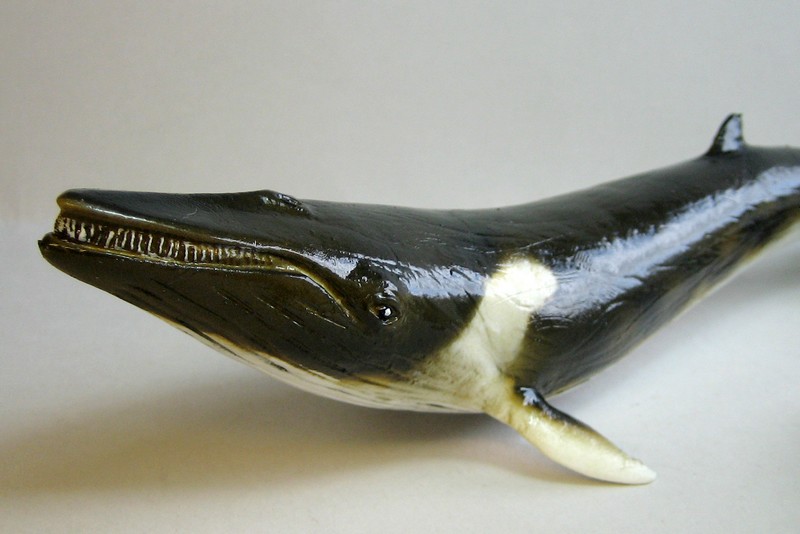 The new Bullyland cats, whales, some horses ...and a VERY unusual king ! Finwhale