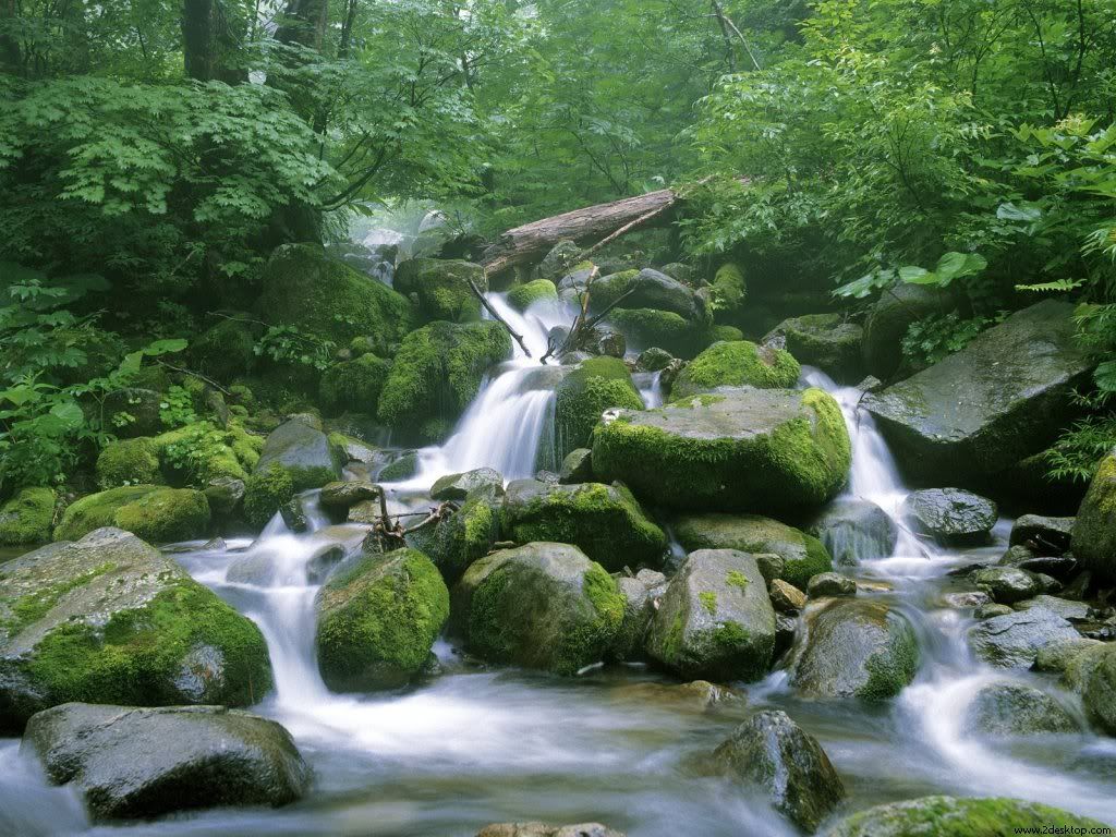 Japonya Fotografları - Sayfa 12 JaponyannShirakami-Sanchiormanlkalanndayeralanvekayalarnarasndanakmaktaolanharikabirakarsumanzaras