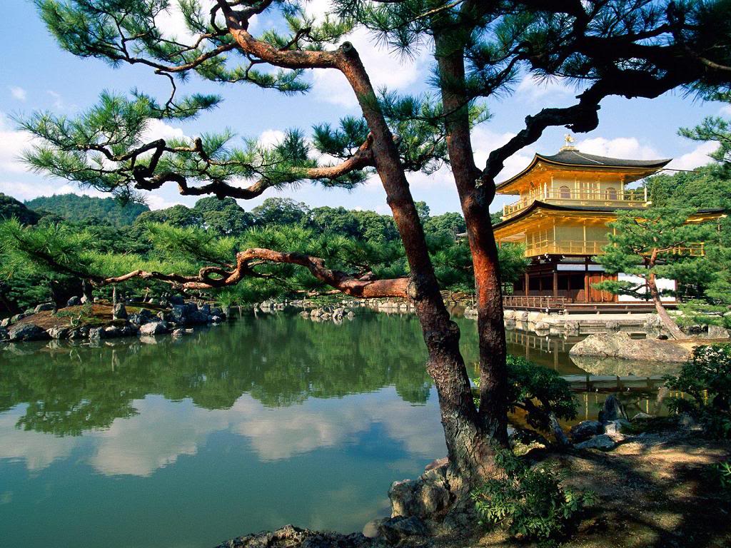 Japonya Fotografları - Sayfa 7 Kinkaku-ji-Temple-Kyoto-Japan