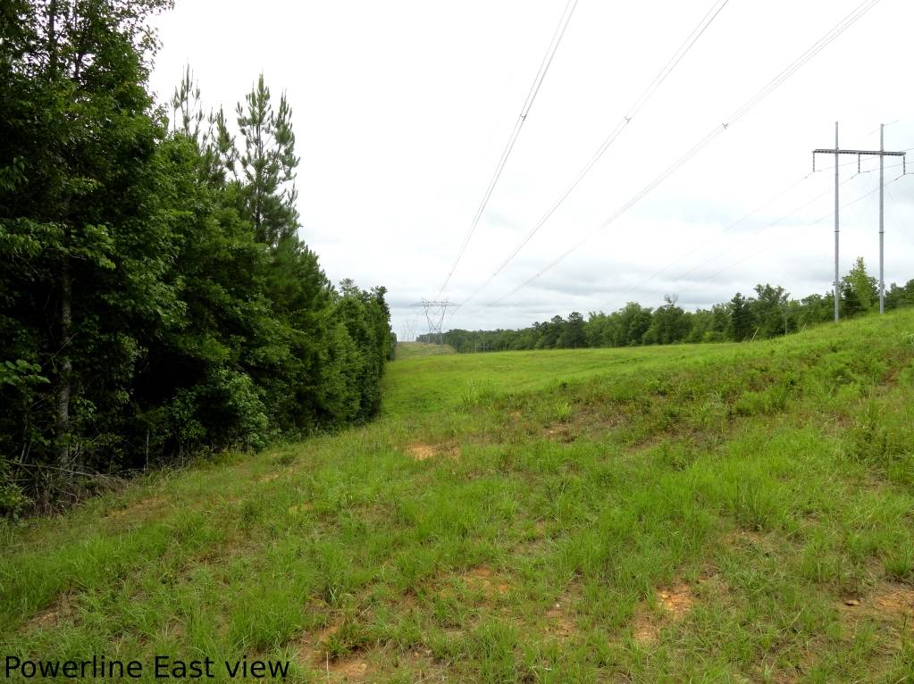 Power line killing fields POWERLINEEAST-2