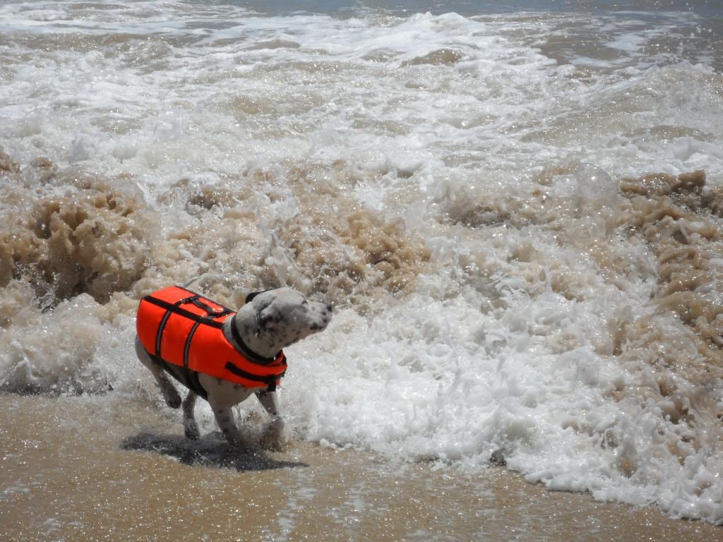 oh I do like to be beside the seaside..( lots! ) 029-7