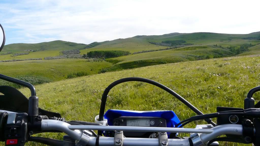 Prairie Ride, Alberta 7160c96c