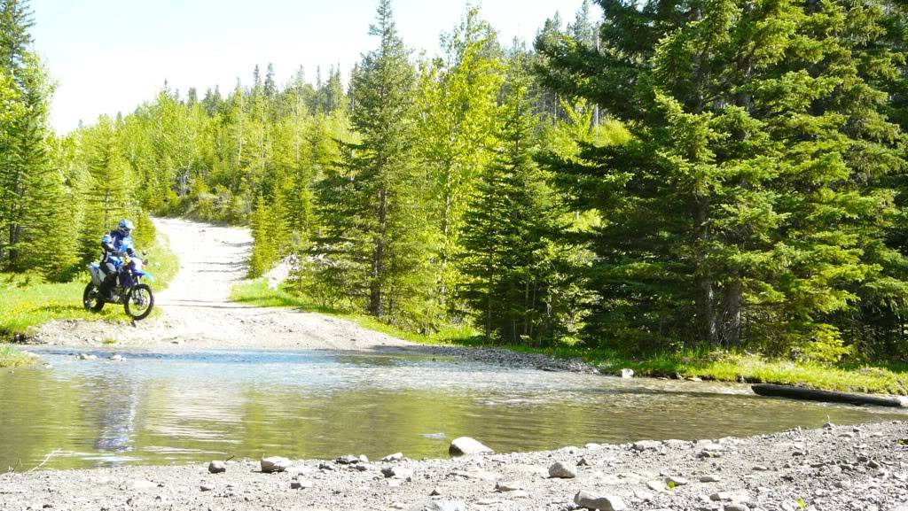 Crowsnest Pass Trail Ride 18c90620