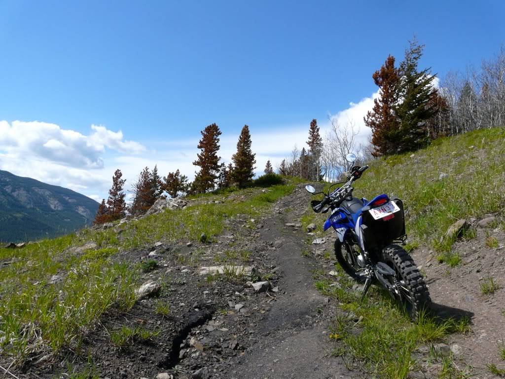 Crowsnest Pass Trail Ride 3340e77a