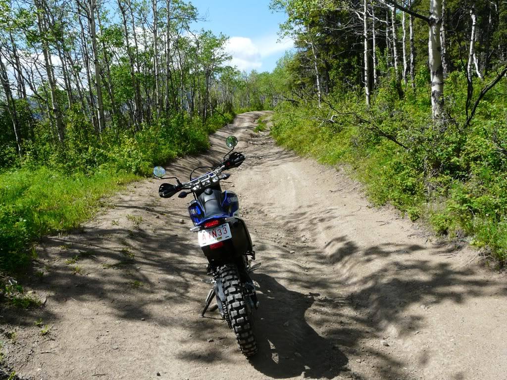 Crowsnest Pass Trail Ride 75d24f70