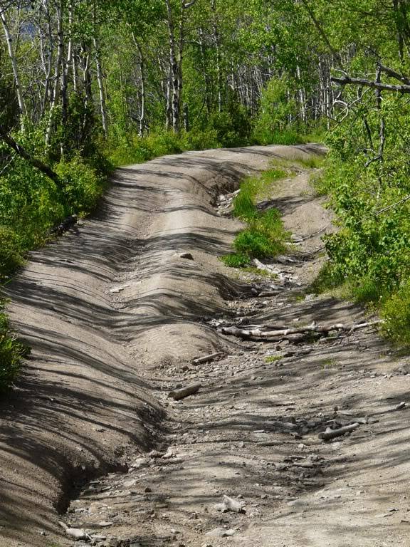 Crowsnest Pass Trail Ride Beedf8b2