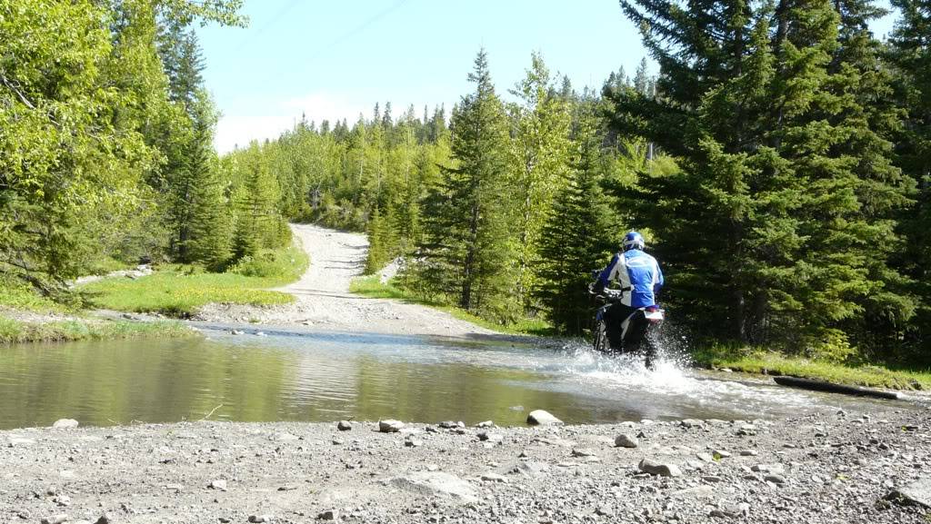 Crowsnest Pass Trail Ride Ea52b272