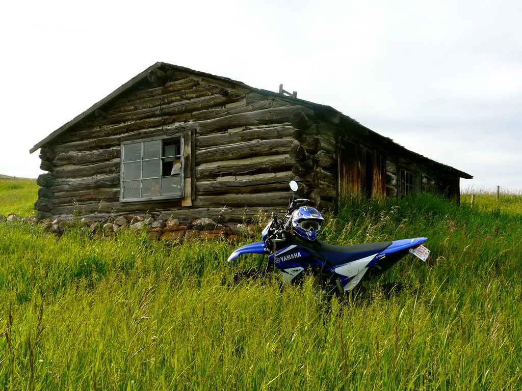 Prairie Ride, Alberta Cf6ccf8e