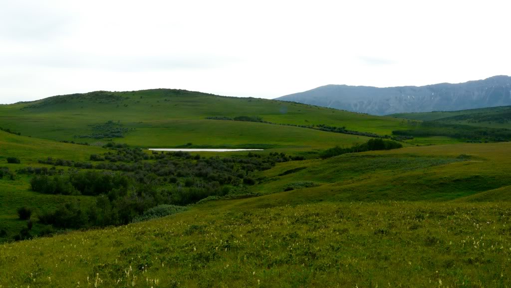 Prairie Ride, Alberta E504323f