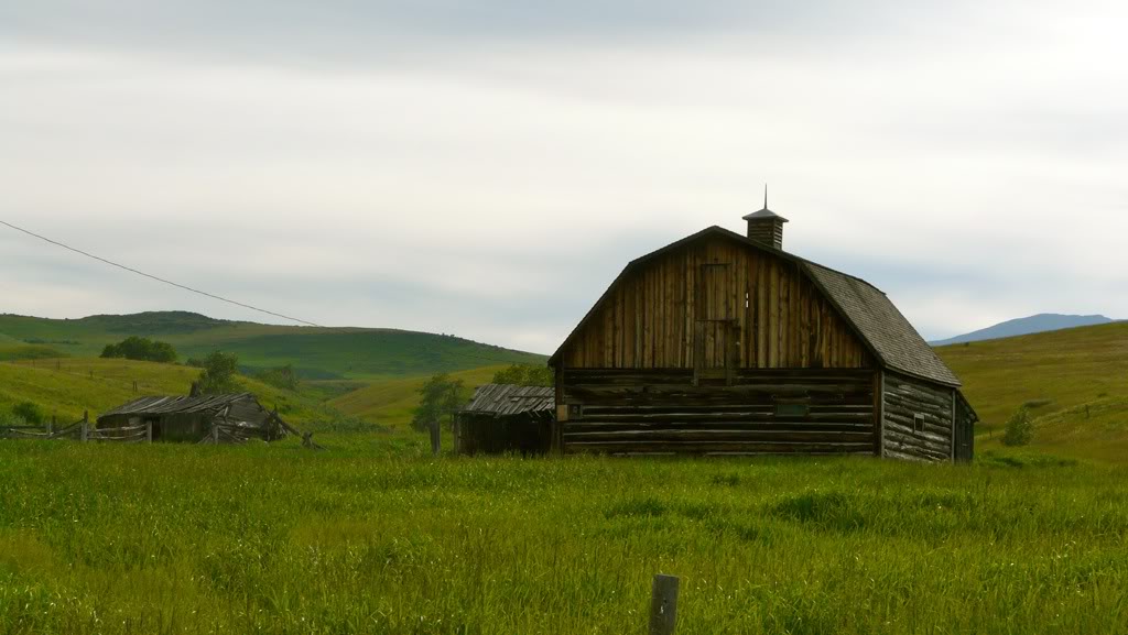 Prairie Ride, Alberta Eb461861