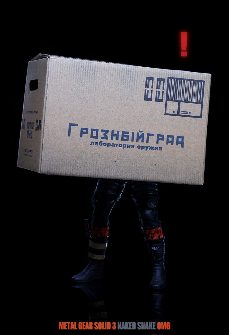 [Hot Toys] Metal Gear Solid 3 - Snake Eater: Naked Snake (Sneaking Suit Version) - Página 13 NakedSnakeHD200_zpsaf51fa5b